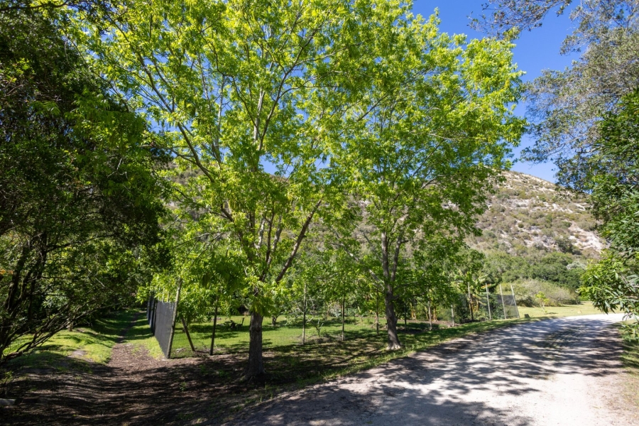 Commercial Property for Sale in Eastford Western Cape